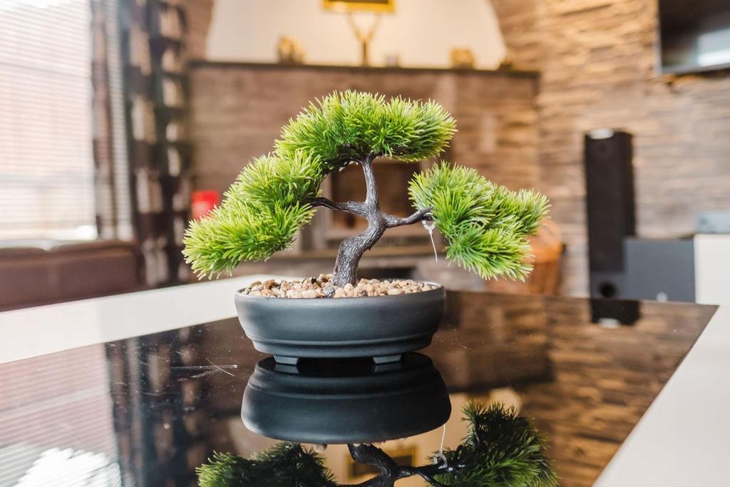 Willa , Cosy House In 因弗内斯 外观 照片