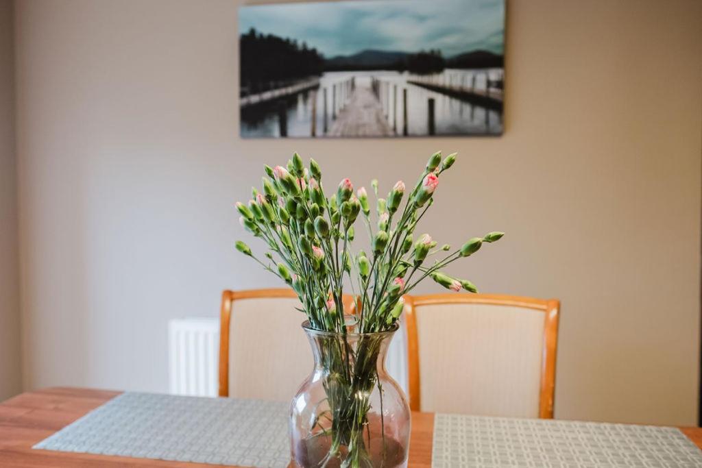 Willa , Cosy House In 因弗内斯 外观 照片